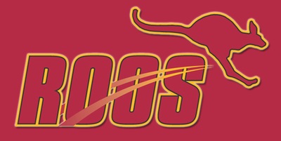 Austin College Seeks Head Men’s & Women’s Water Polo Coach