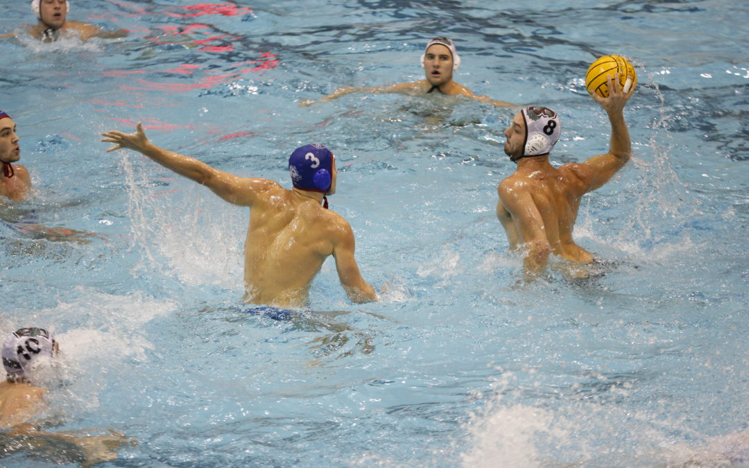 Bush leads No. 14 Brown University to Northeast Water Polo Conference Championship Third Place Finish with 11-9 Victory Over No. 18 St. Francis College Brooklyn
