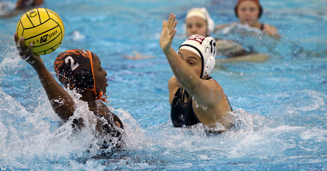 No. 10 Princeton University Catches No. 23 Harvard University with Webb, 12-4, & Advance to 2018 Collegiate Water Polo Association Championship Semifinals