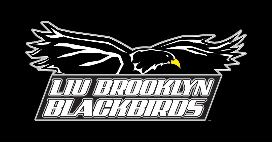 Long Island University Brooklyn Posts Updated Women’s Water Polo Head Coach Job Announcement
