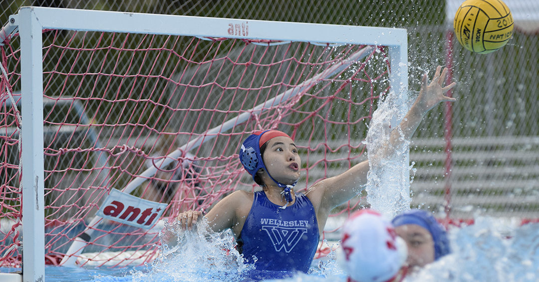 Wellesley College Cools Off Grinnell College, 8-3, in 2018 Women’s National Collegiate Club Championship Consolation Round