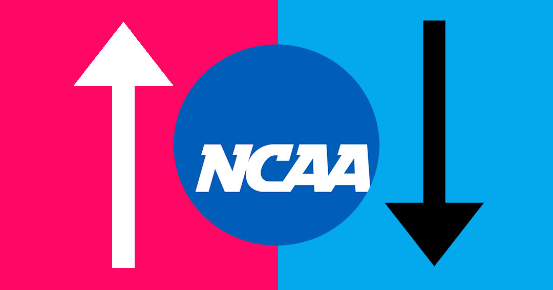 National Collegiate Athletic Association Division I Sports Experience