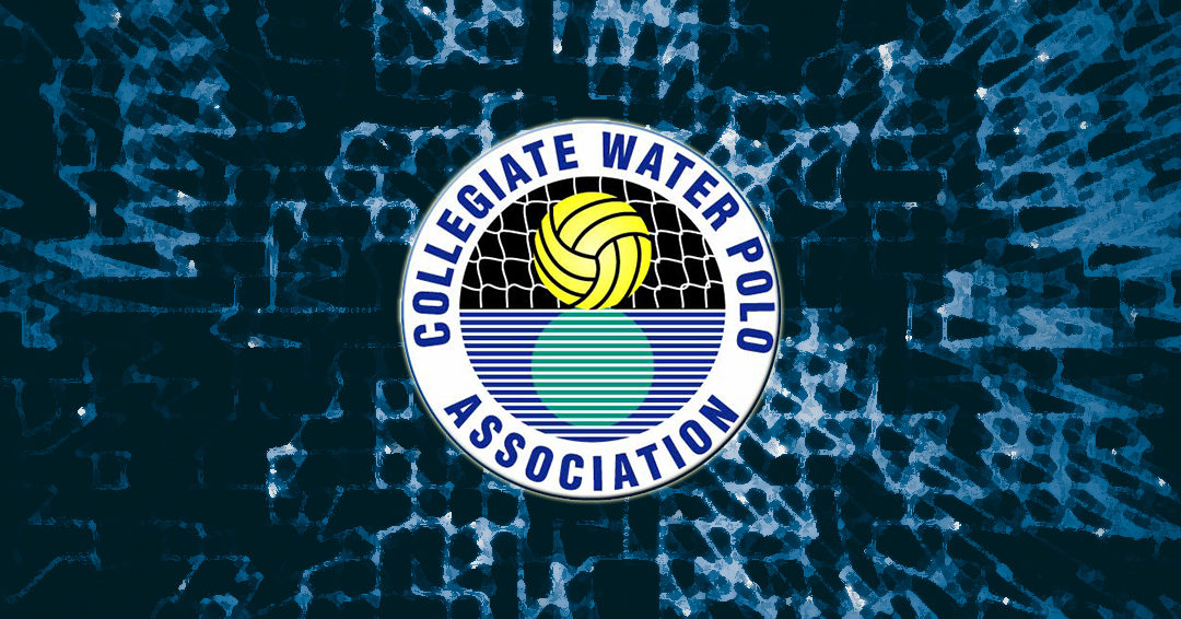 Collegiate Water Polo Association Looking for Alumni Stories of Success