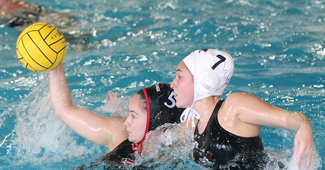 Rookie of the Year: Division III No. 10 Austin College Cuts Down Carthage College, 7-2, to Make 2019 Collegiate Water Polo Association Division III Championship Title Game