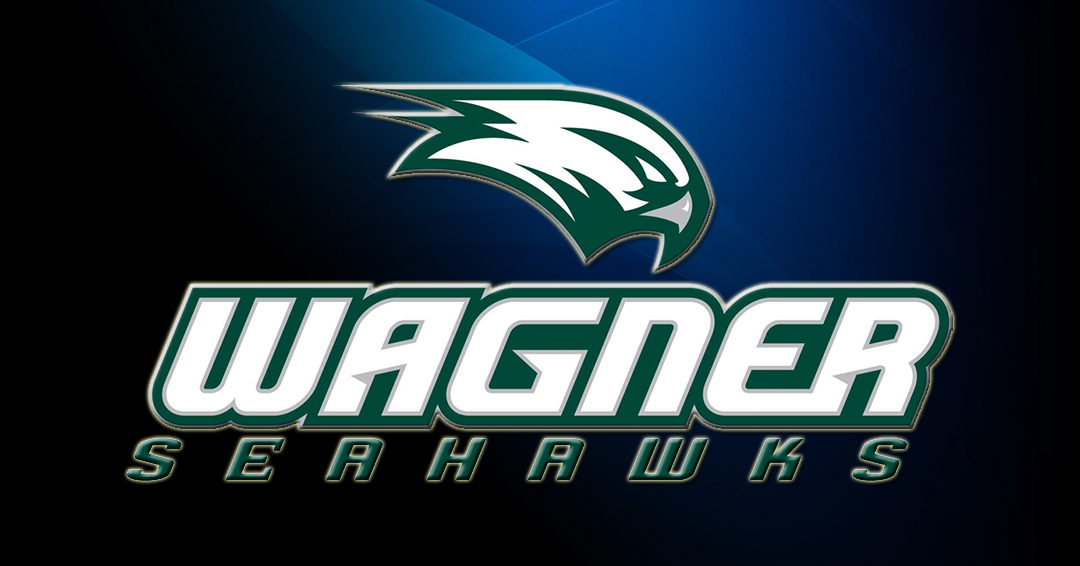 Wagner College Seeks Men’s & Women’s Water Polo Assistant Coach