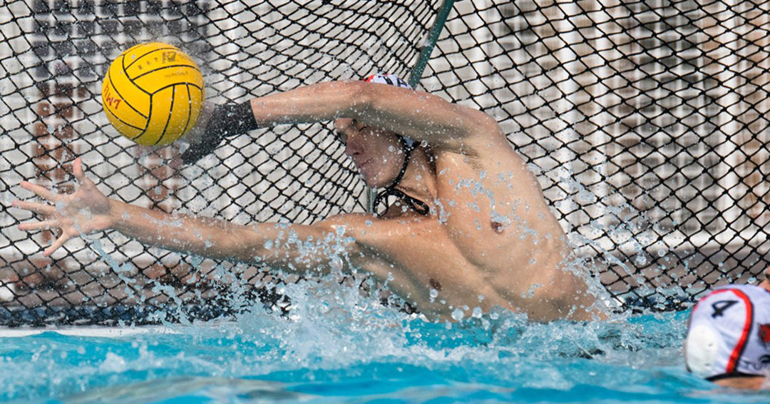 Princeton University’s Antonio Knez Named October 7 Northeast Water Polo Conference Defensive Player of the Week