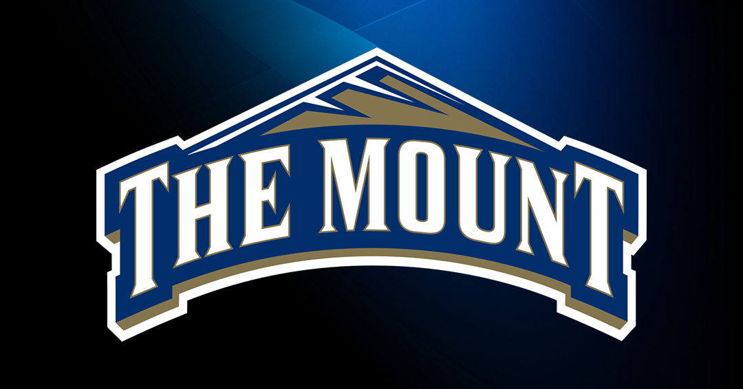 Mount St. Mary’s University Seeks Head Men’s & Women’s Water Polo Coach