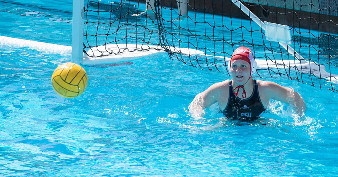 Saint Francis University Cuts Down Mount St. Mary’s University, 17-7, & Stumbles Against Host Villanova University, 13-12