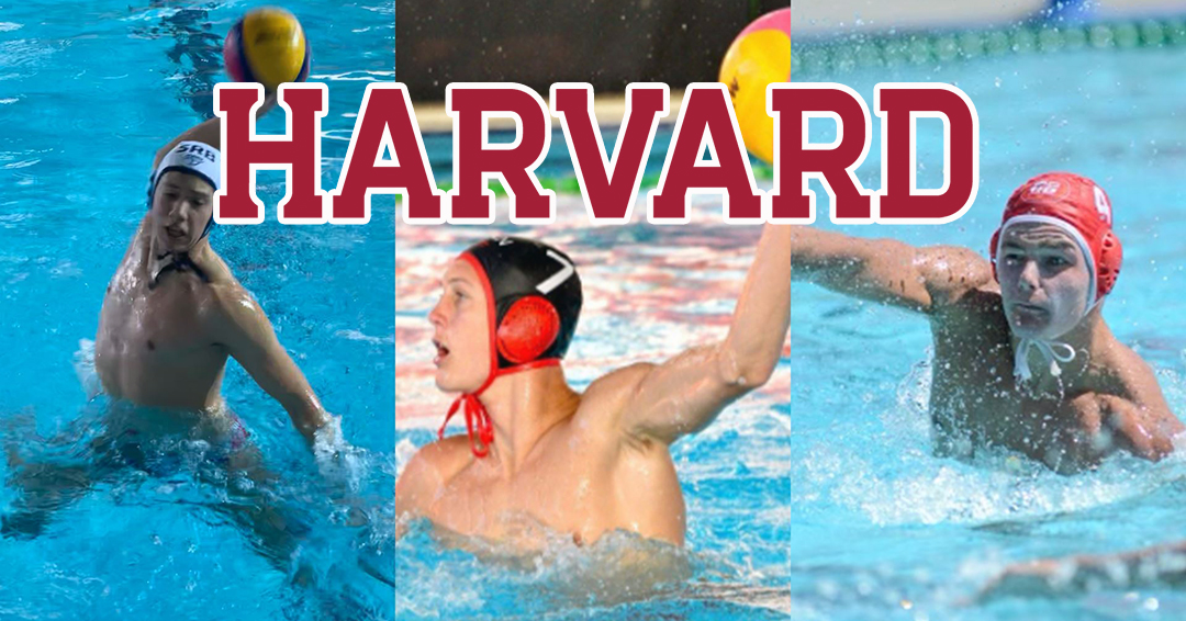 Harvard University Announces Class of 2025 Men’s Water Polo Recruits