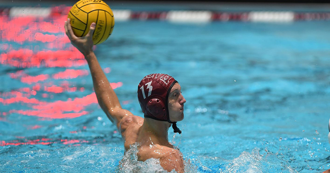 No. 14 Harvard University Doubles Down on Brown University, 8-4, in Northeast Water Polo Conference Clash