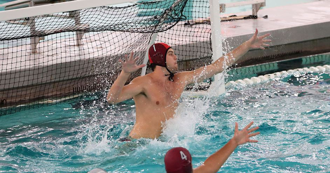 No. 16 Fordham University Rams Wagner College, 12-8, in Mid-Atlantic Water Polo Conference-East Region Empire State Showdown