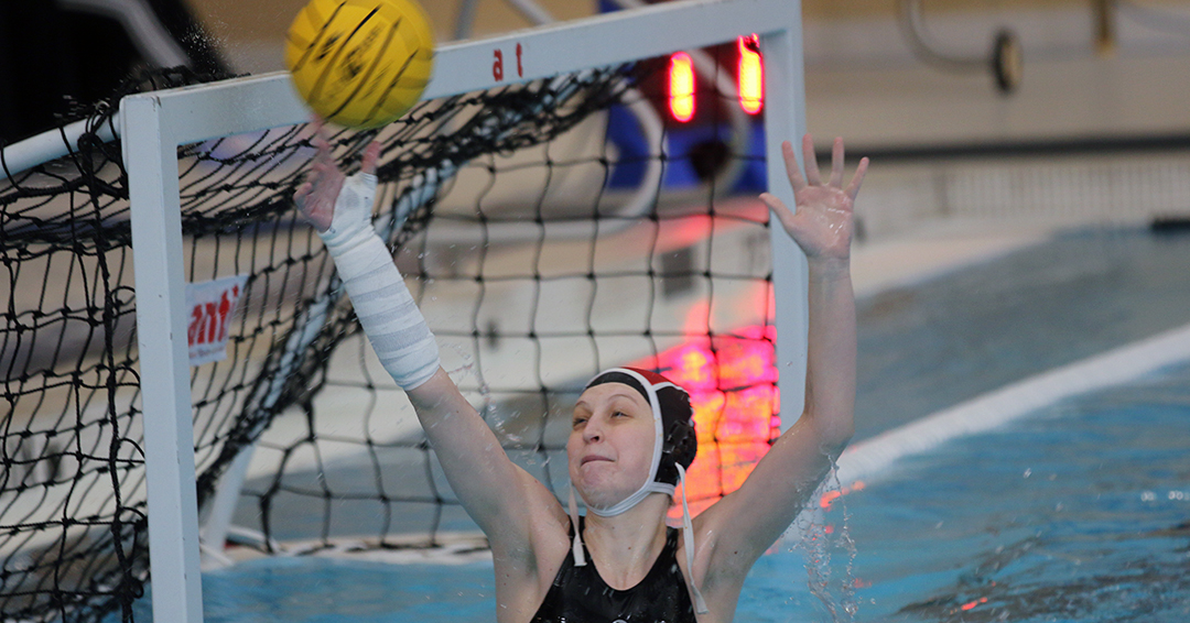 Wittenberg University Trips Washington & Jefferson College, 117, in