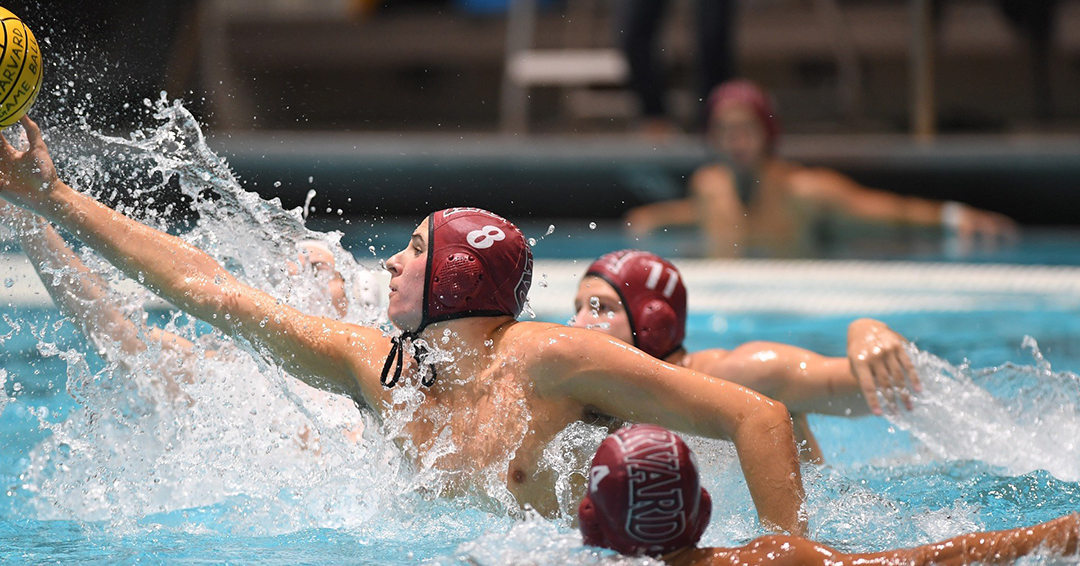 Harvard University’s James Rozolis-Hill Reels In Honors as November 6 Northeast Water Polo Conference Player of the Week