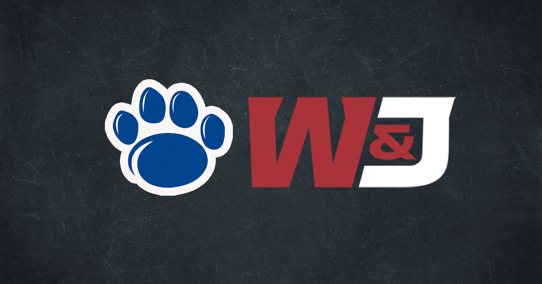 Gannon University to Stream Western Water Polo Association Erie Classic Games with Penn State Behrend, Washington & Jefferson College on April 6