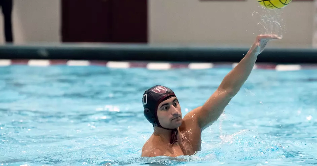 No. 15 Harvard University Does Not Languish in Topping Long Island University, 20-9, in Northeast Water Polo Conference Meeting