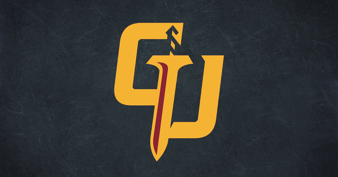 Gannon University Seeks Men’s & Women’s Water Polo Assistant Coach