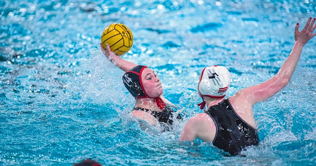 Washington & Jefferson College Burned By Saint Francis University Red Flash, 20-7